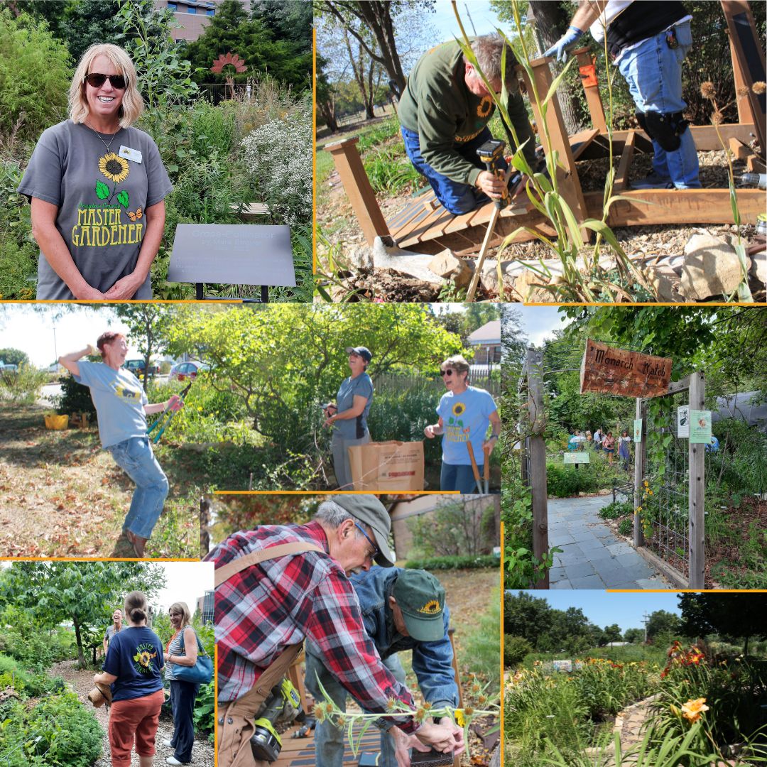 collage of extension master gardeners